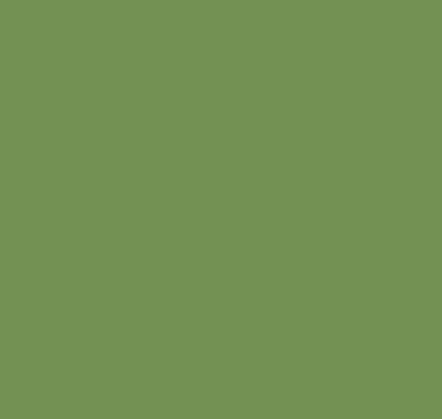 Garden Paint. A lush mid green.